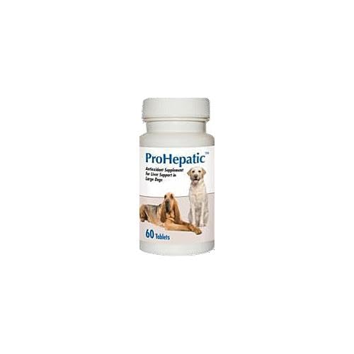 Chewable Tablets for Large Dogs 60 count Y2777