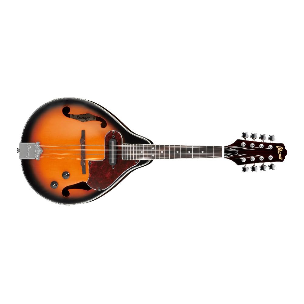 Acoustic-electric Mandolin P622592