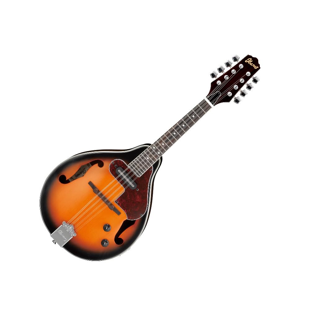 Acoustic-electric Mandolin P622592