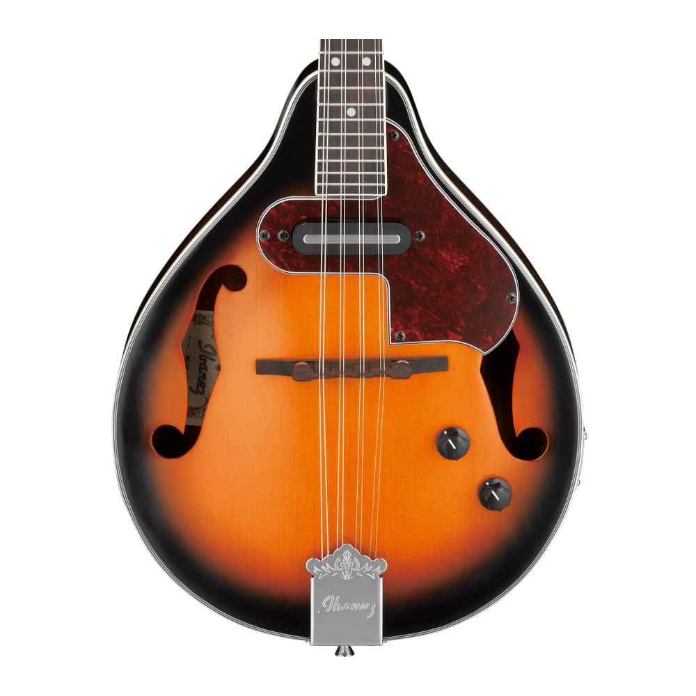 Acoustic-electric Mandolin P622592