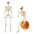5.4FT Skeleton Halloween Decoration S89897