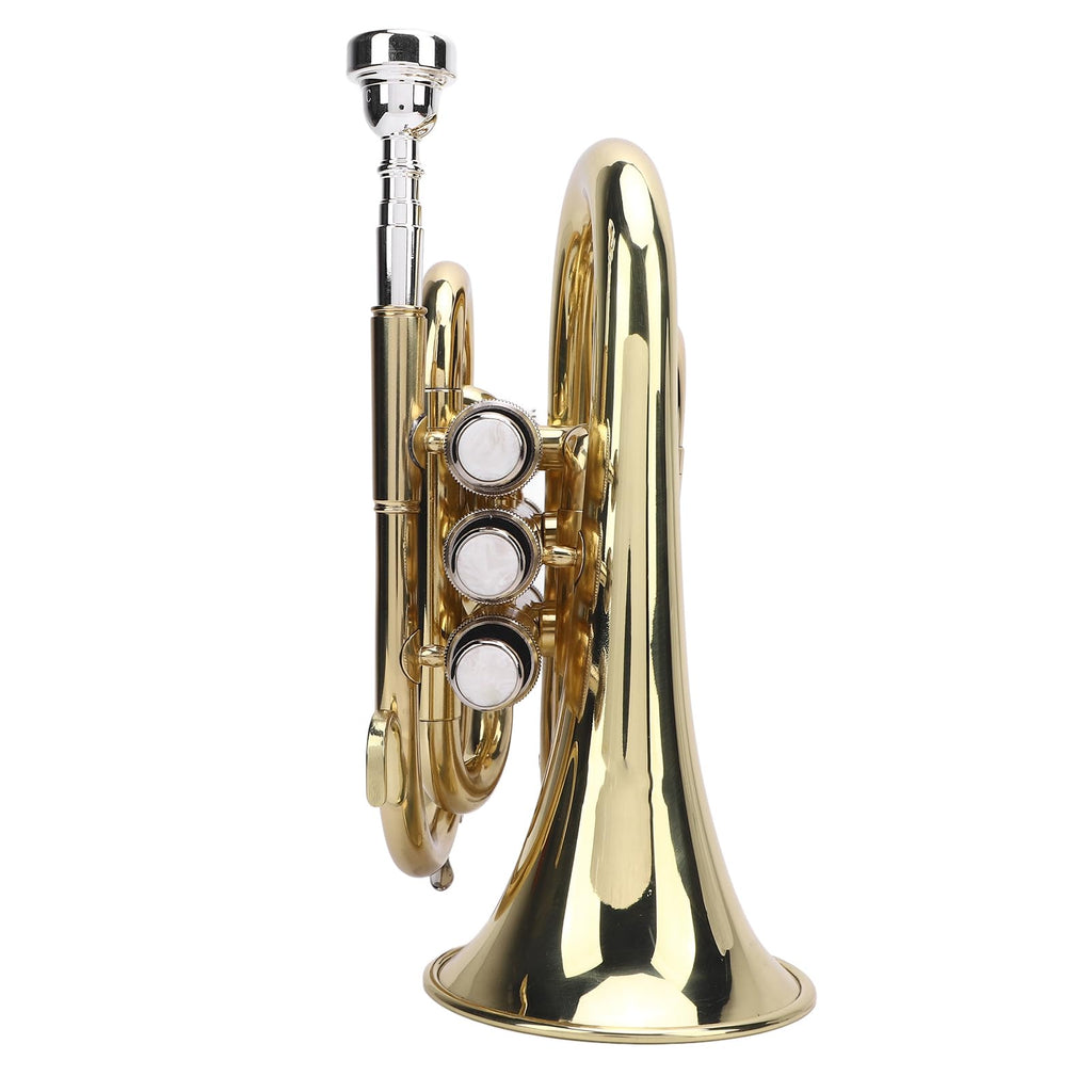 Bb Pocket Trumpet with 7C Mouthpiece and Hard Case X770777