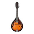 Acoustic-electric Mandolin P622592