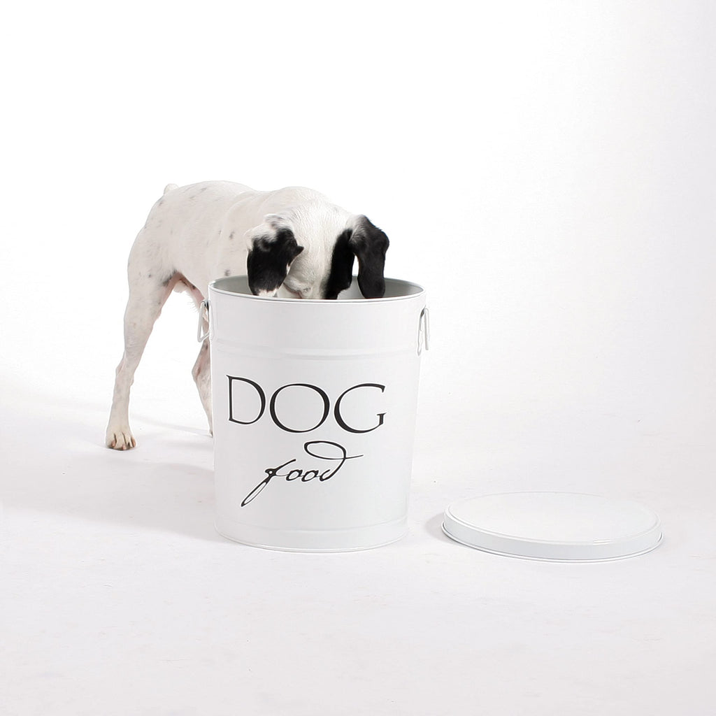 Large Airtight Stainless Steel Dog Food Storage Canister A164324