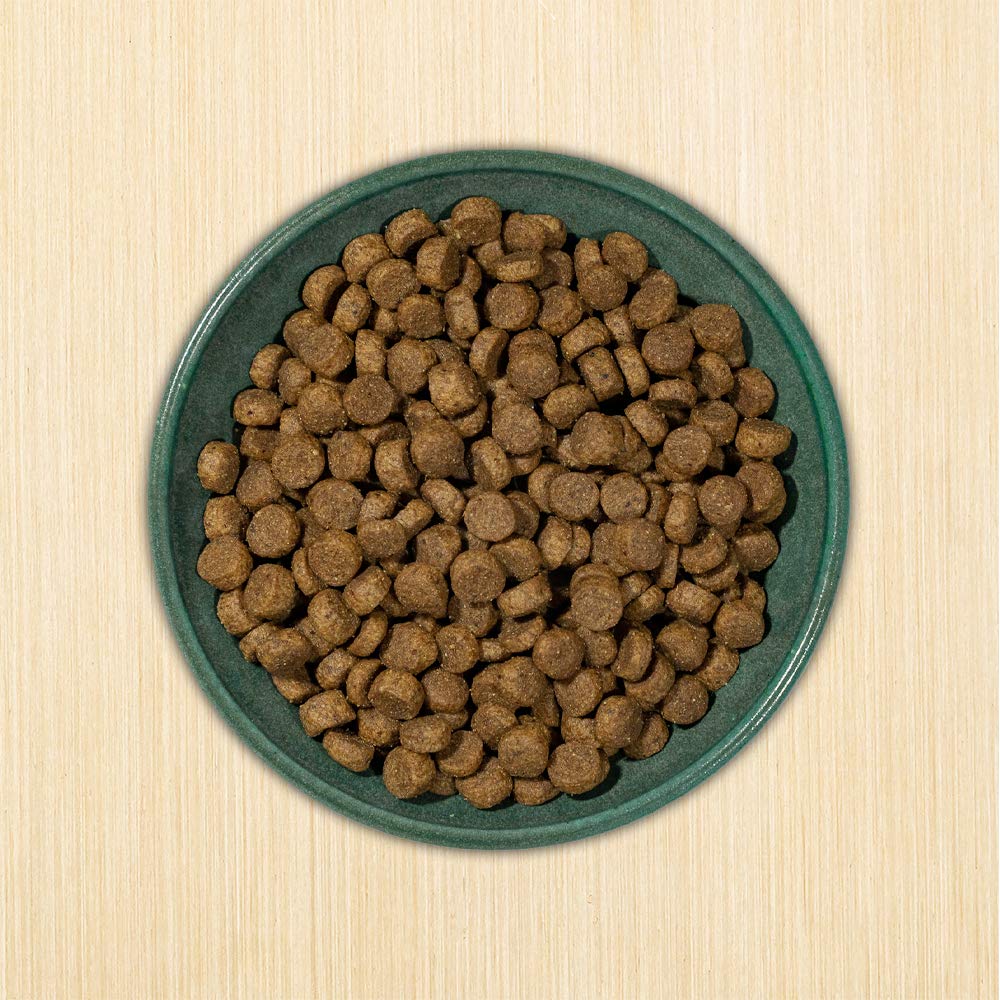 Dry Dog Food, 25% Protein Chicken & Brown Rice, 12-lb Bag P562