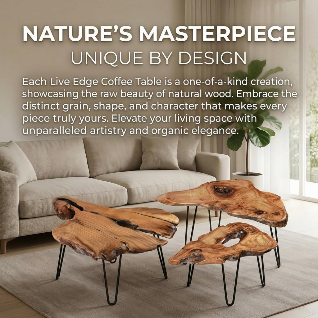 Live Edge Natural Wood Coffee Table S3777