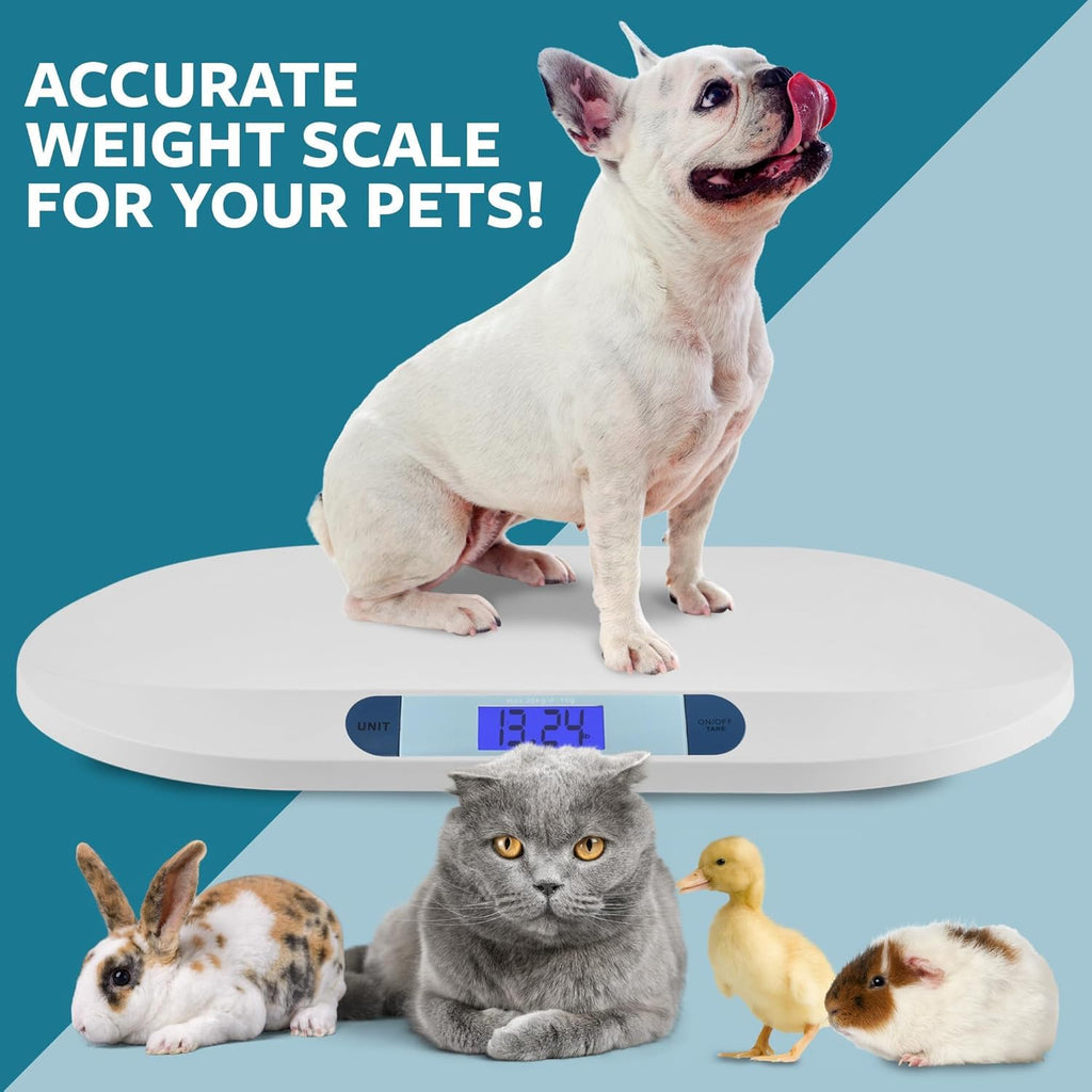 Baby & Pet Scale, 44 lb Capacity Q788