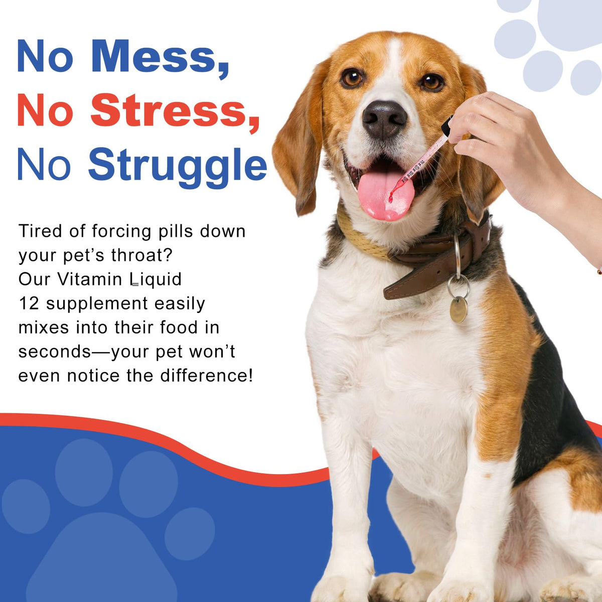 Vitamin B12 Liquid for Dogs L936