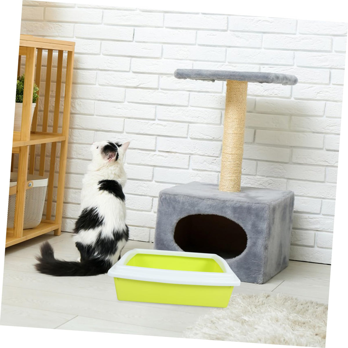 Open Top Cat Litter Box with Frame Semi-Enclosed P95699