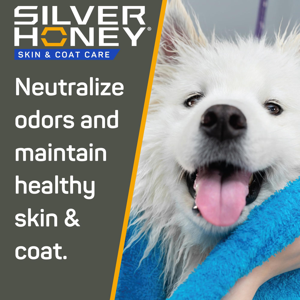 Silver Honey Skin & Coat Care Grooming 2pc Combo L89316