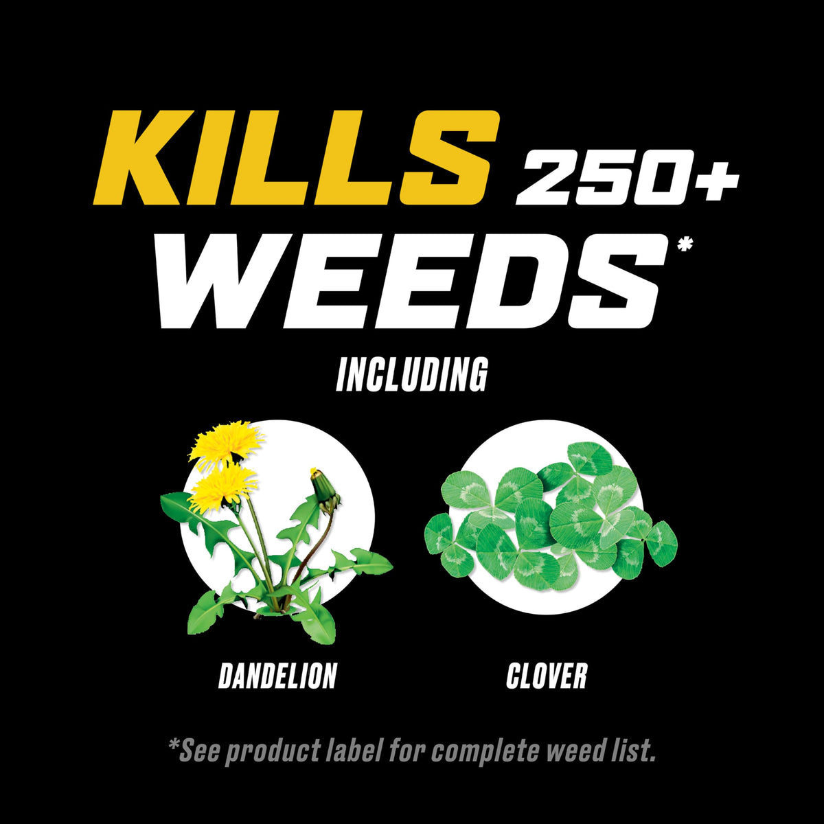 Ortho WeedClear Weed Killer for Lawns with Comfort Wand, 1 gal. L321