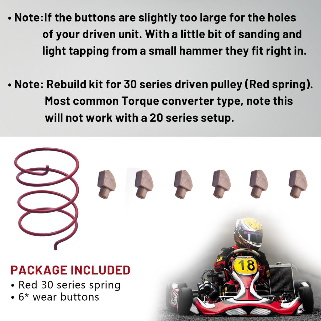 30 Series Torque Converter Driven Pulley Rebuild Kit W589591