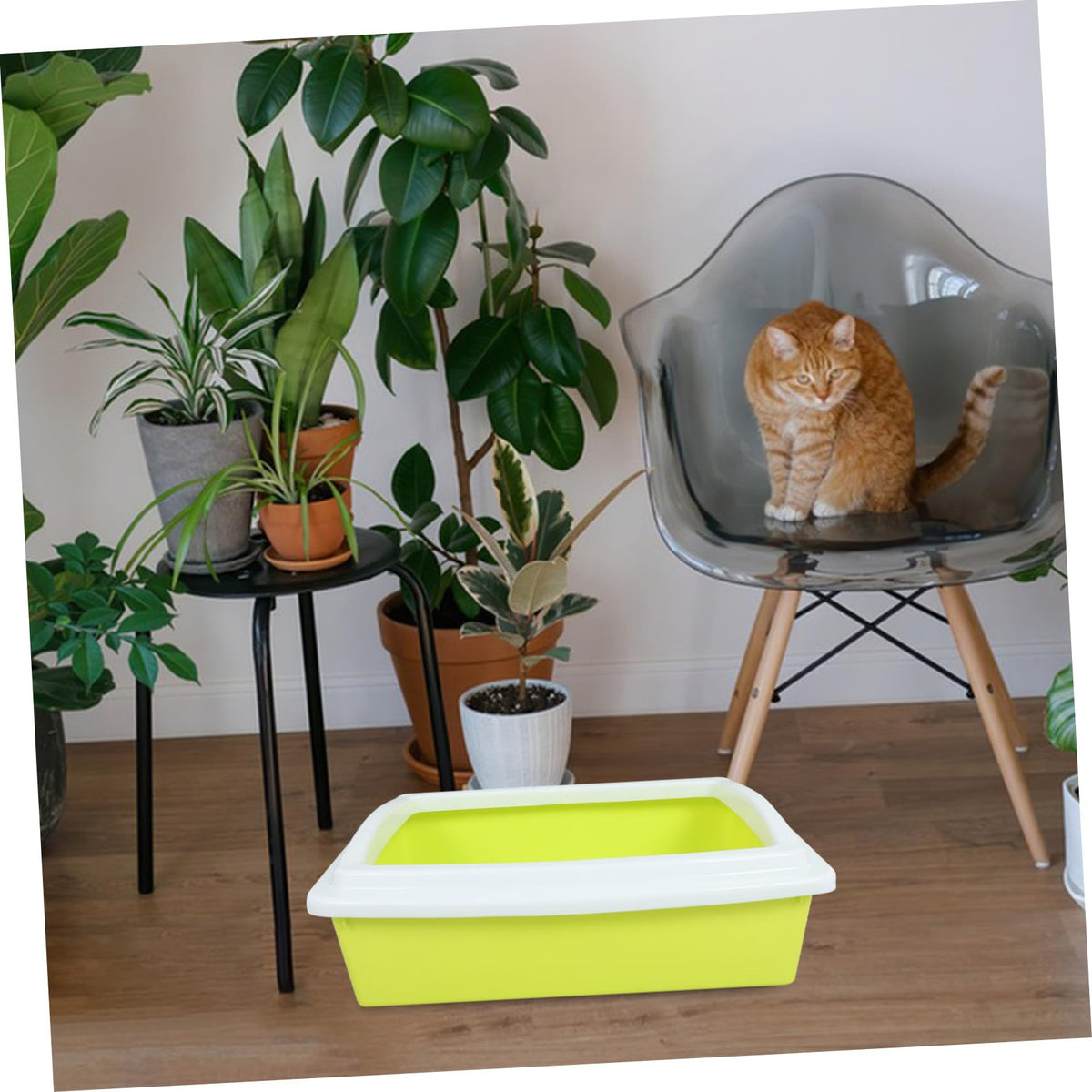 Open Top Cat Litter Box with Frame Semi-Enclosed P95699