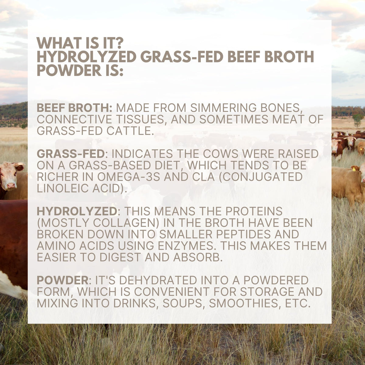 Bone Broth Packets 18g Protein 12 Ct E682