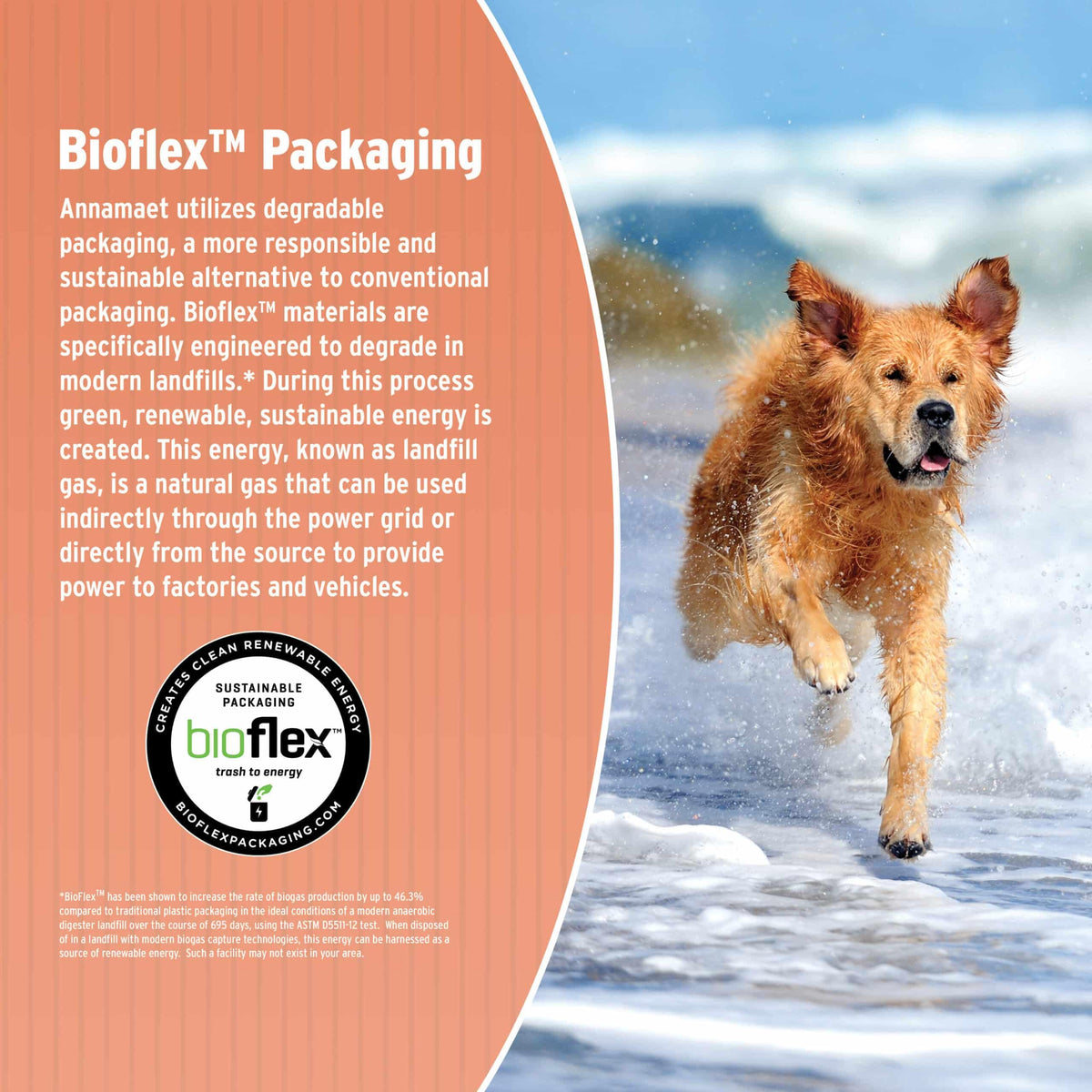 Dry Dog Food, 25% Protein Chicken & Brown Rice, 12-lb Bag P562