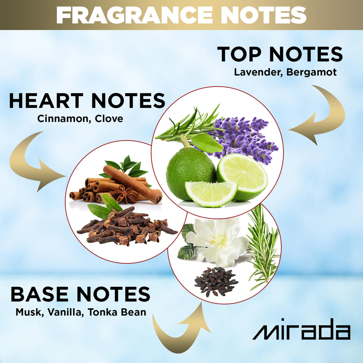 White Musk Eau de Parfum Spray 3.4 FL. Oz X42328