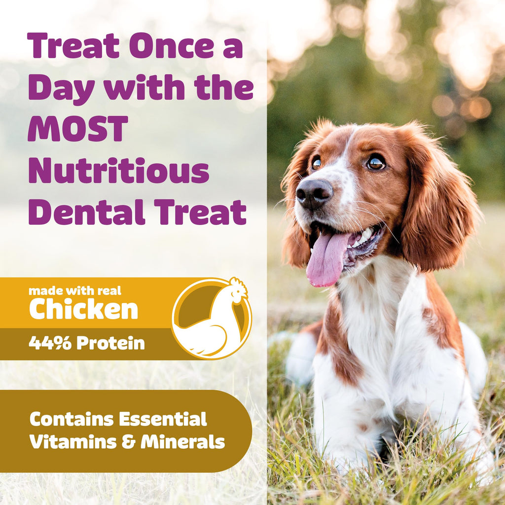 Chicken Dental Dog Treats 36oz 27 Count K53663