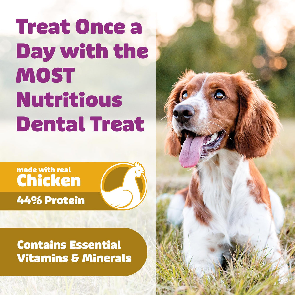 Chicken Dental Dog Treats 36oz 27 Count K53663