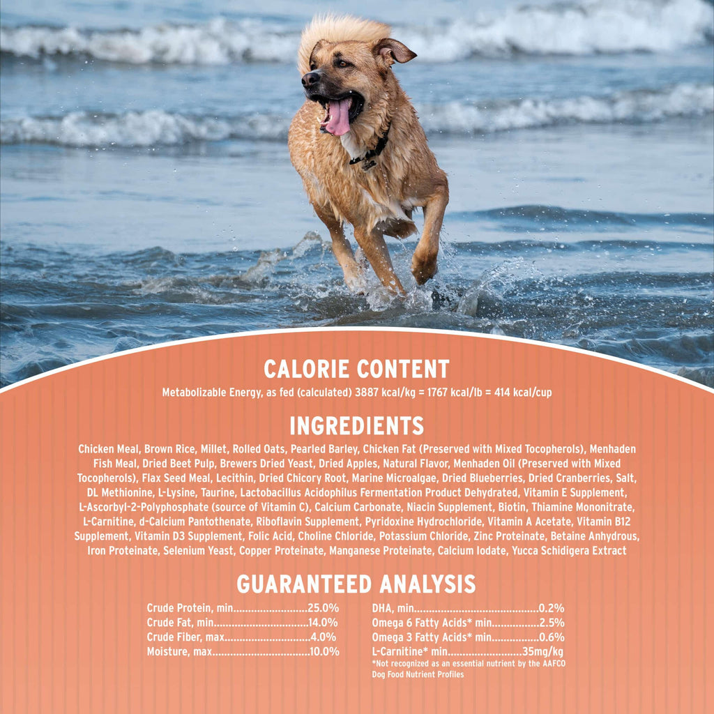 Dry Dog Food, 25% Protein Chicken & Brown Rice, 12-lb Bag P562