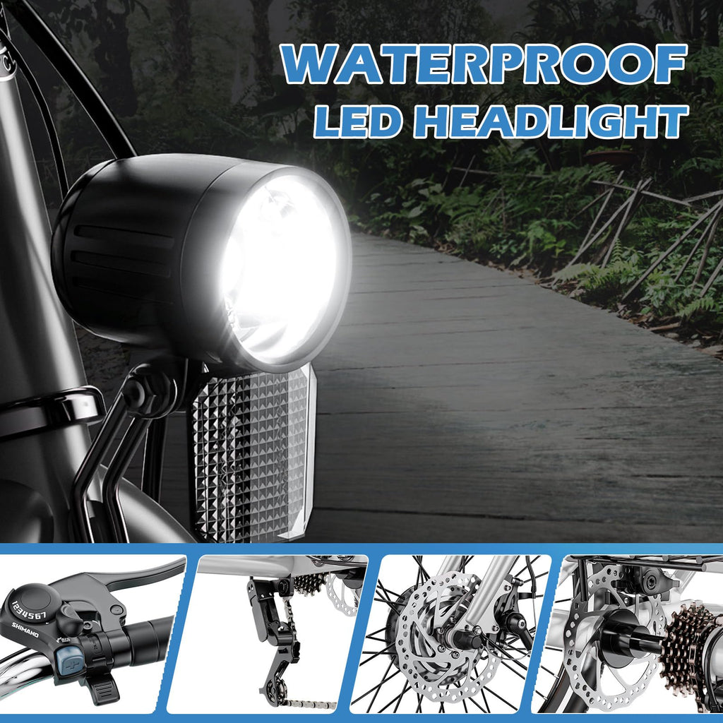 350W 36V 7 Speeds Electric Tricycle with Basket F2622