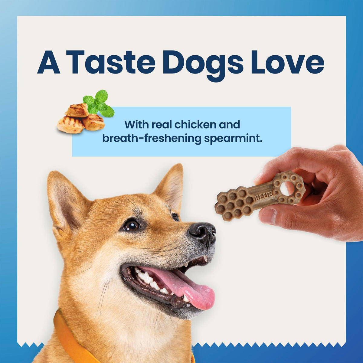 Chicken & Spearmint Medium Dental Chews, 11.5 oz, 14 ct Z36886