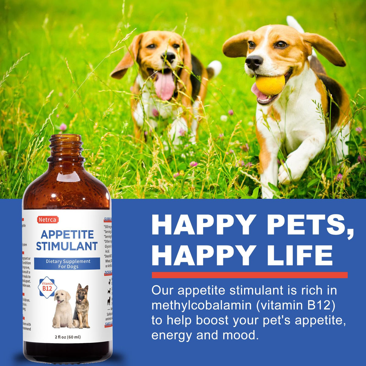 Vitamin B12 Liquid for Dogs L936