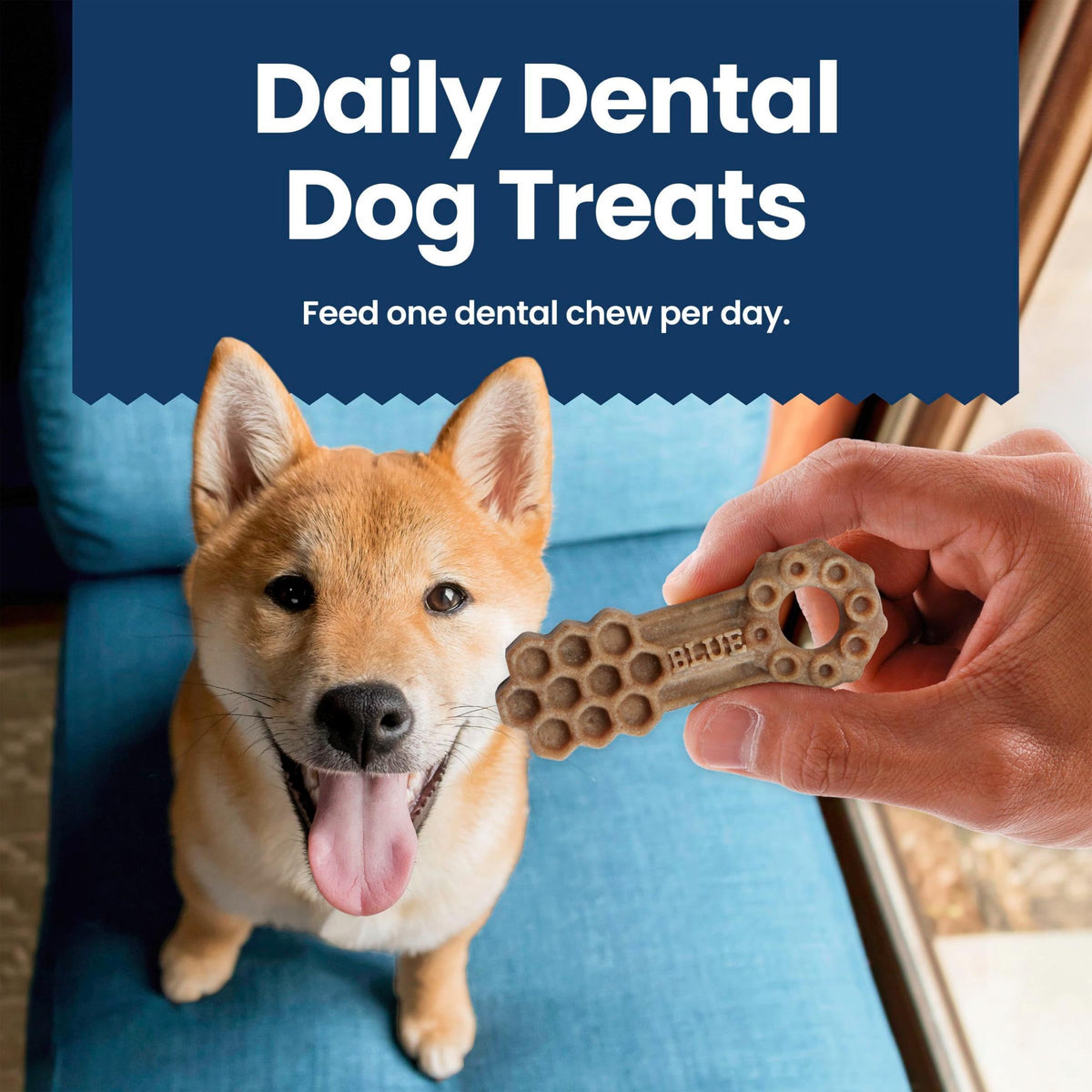 Chicken & Spearmint Medium Dental Chews, 11.5 oz, 14 ct Z36886