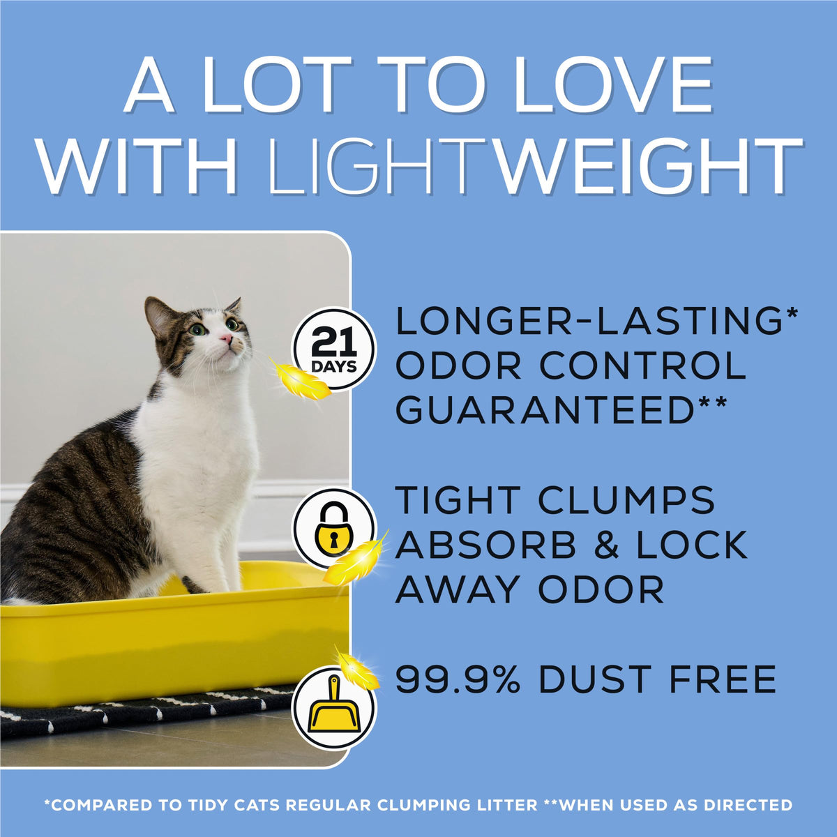 Low Dust Clumping Unscented Cat Litter 17 lb C7001