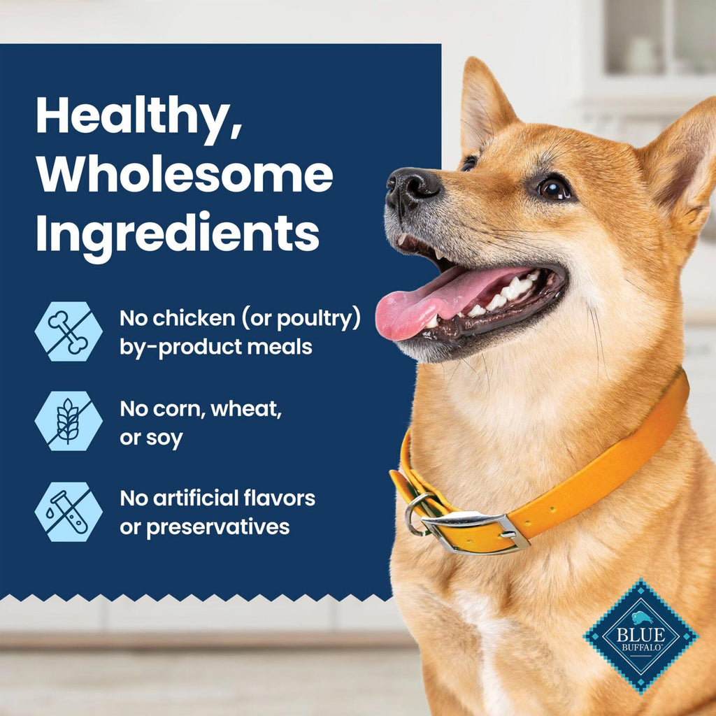 Chicken & Spearmint Medium Dental Chews, 11.5 oz, 14 ct Z36886