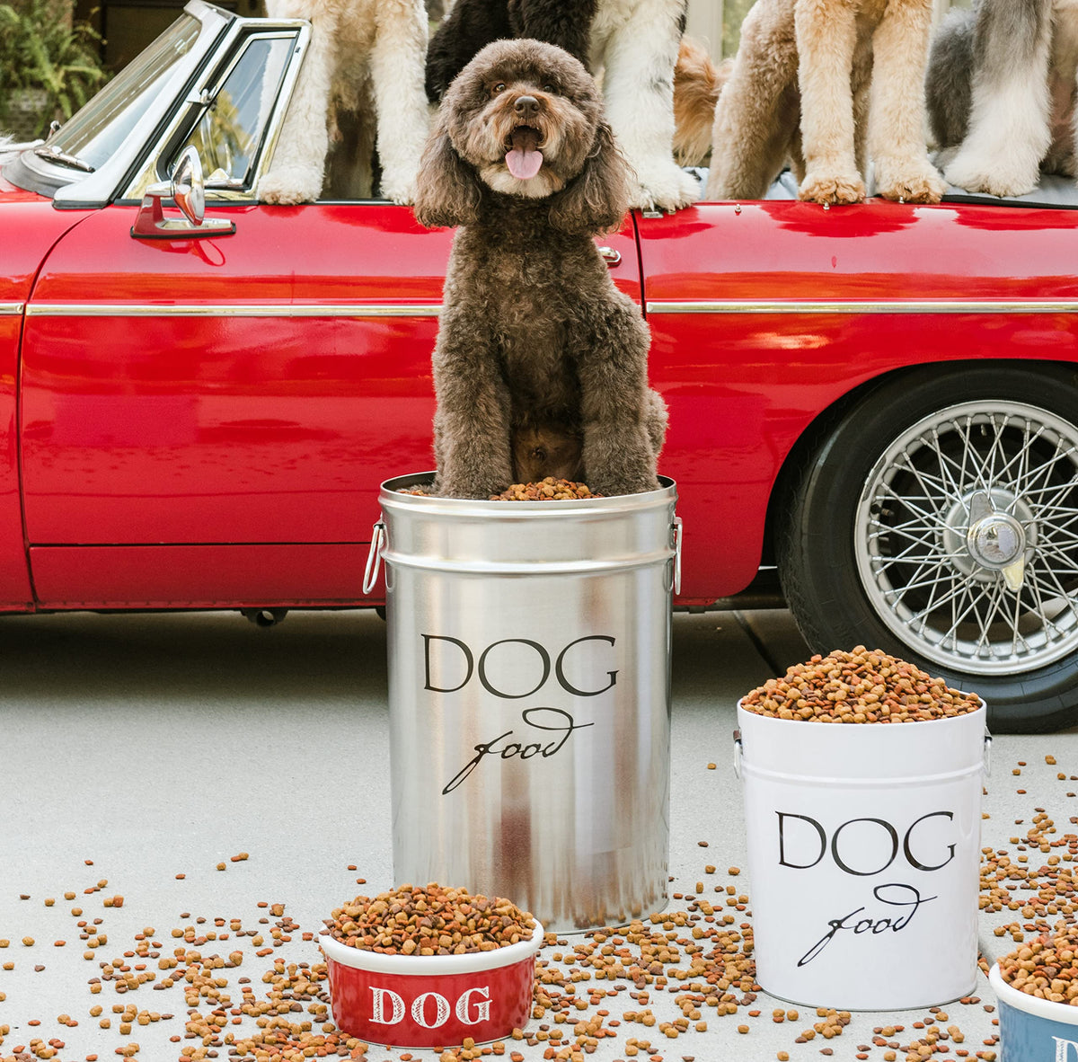 Large Airtight Stainless Steel Dog Food Storage Canister A164324