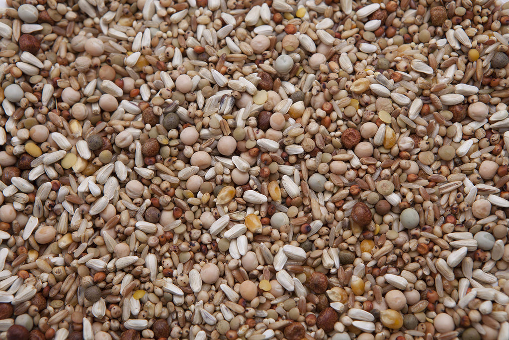 Pigeon Mix P2908
